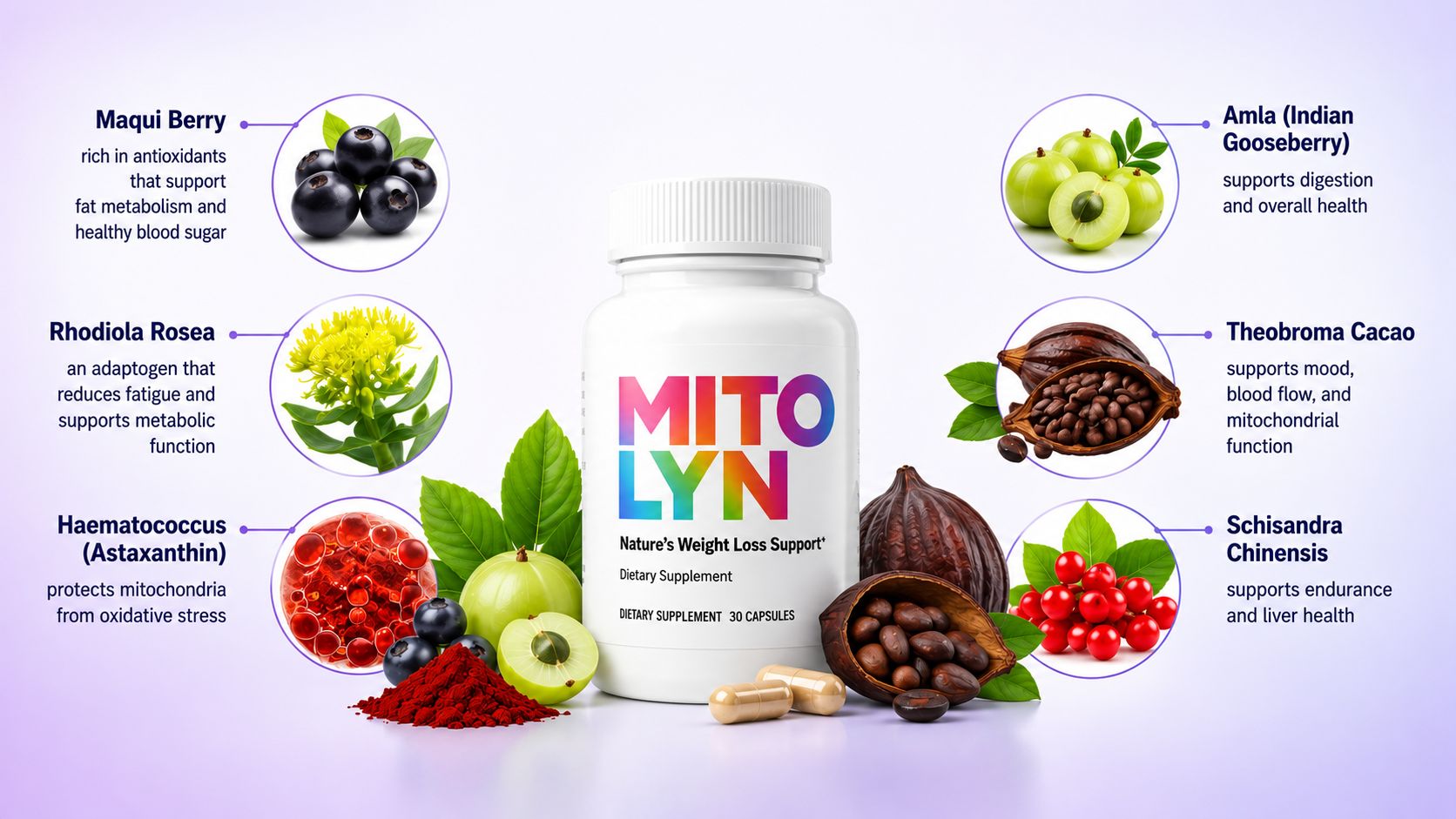Mitolyn Ingredients